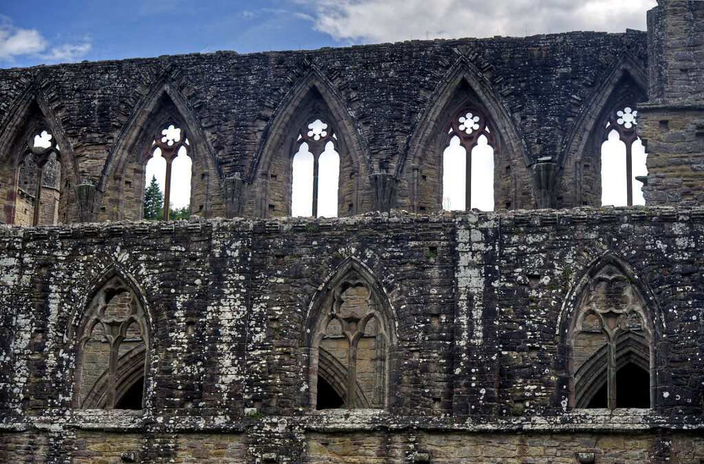 wales –   tintern abbey (34)