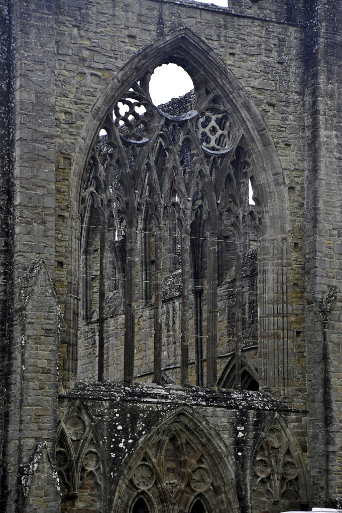 wales –  tintern abbey (38)