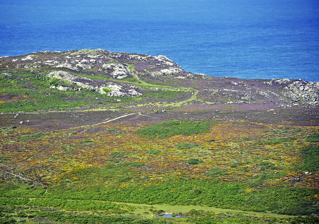 wales – whitesands bay  (11)
