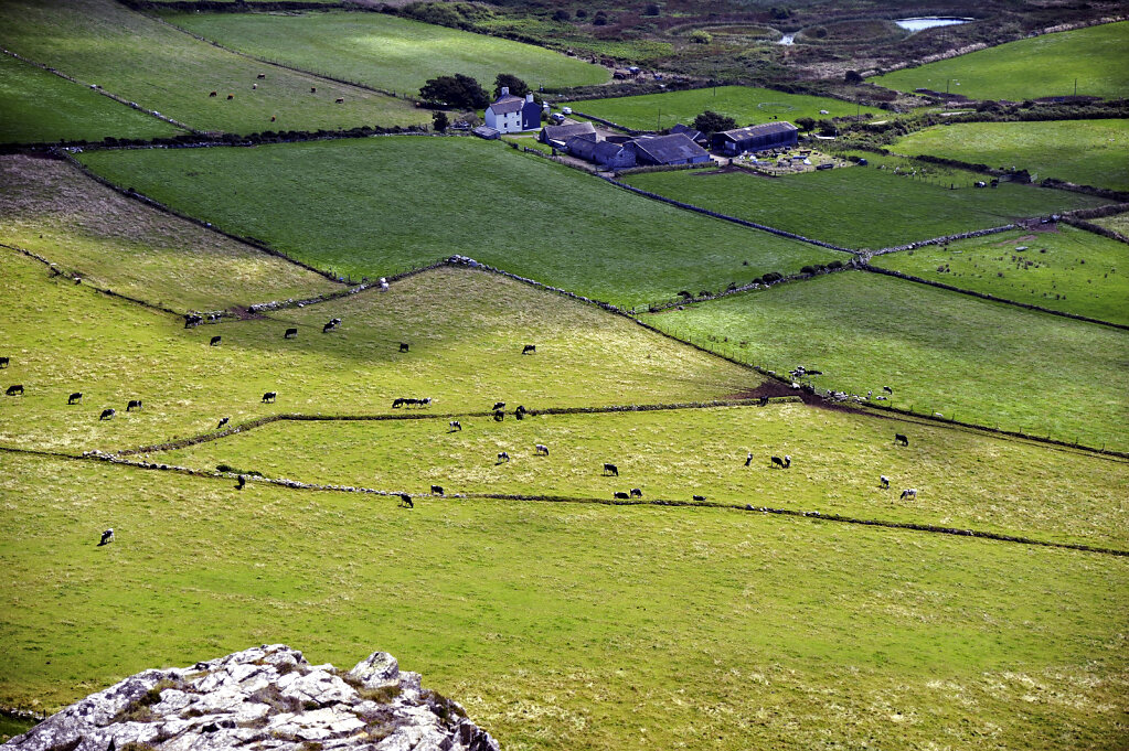 wales – whitesands bay  (20)