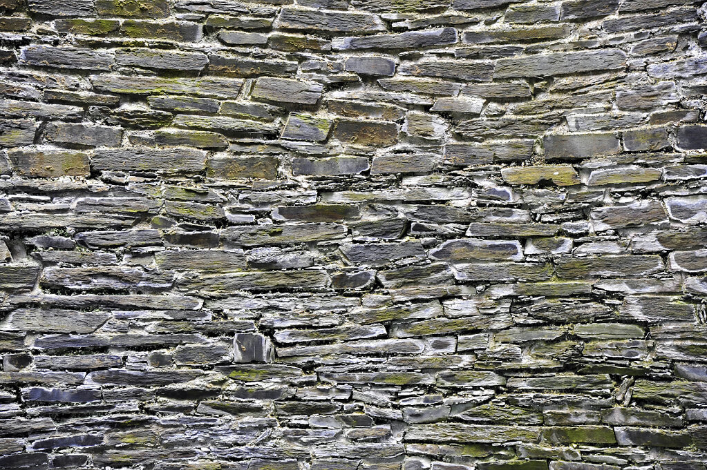wales – cilgerran castle (10)