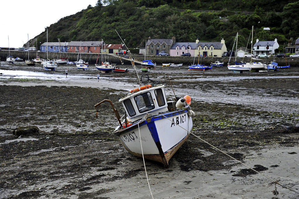 wales – fishguard goodwick (05)
