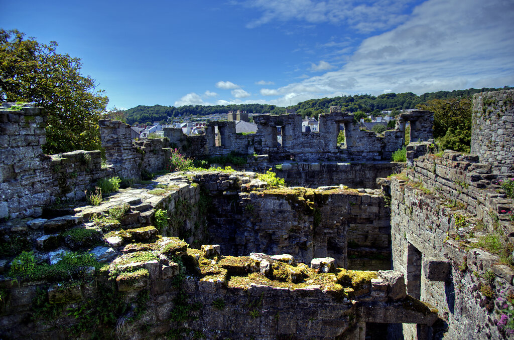 wales – beaumaris castle (07)