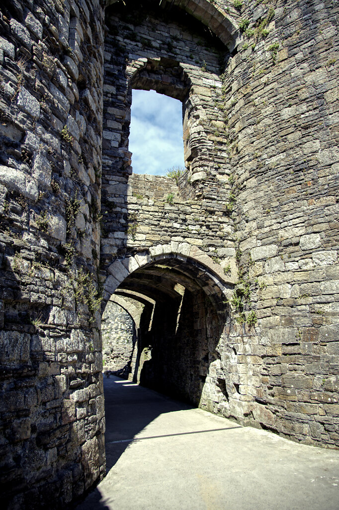 wales – beaumaris castle (09)