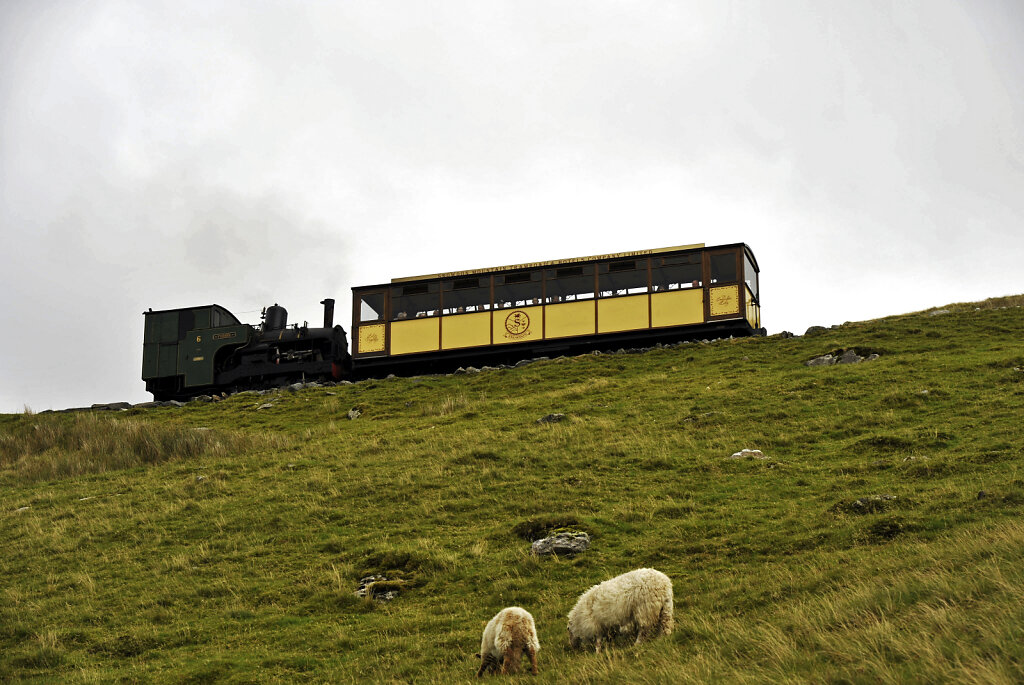 wales – snowdon (11)